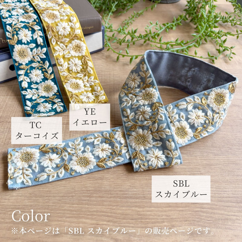 �������� | ���å���ڥ���ɻɽ� B�ۥ������֥롼