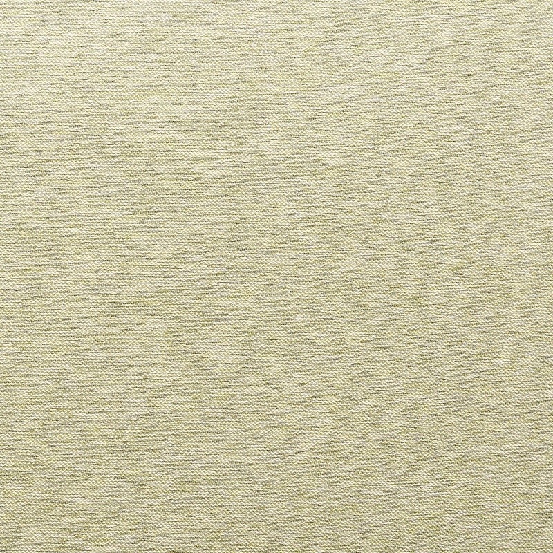 ɱ䤵ꤲʤȥѥƥ륫顼Ǿʤʰݤμ׸3饫ƥڥ롼٥ GNۥ꡼