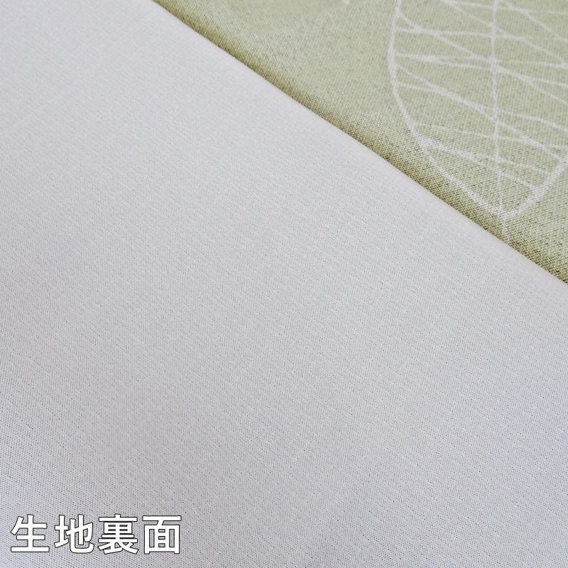 �̲��ʥ����륤��ƥꥢ�˻ž夬�롢���٤ʥ꡼�����ץ��Ȥ�ͥ�������μ׸�3�饫���ƥ�ڥ饤��꡼�� GN�ۥ��꡼��