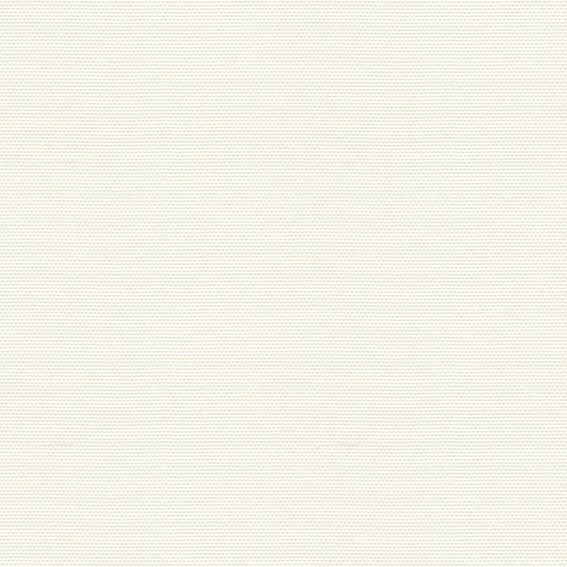 ɱ䥷ץʤ˸Ȥꤳ׸ƥSI  WHۥۥ磻 S2095*