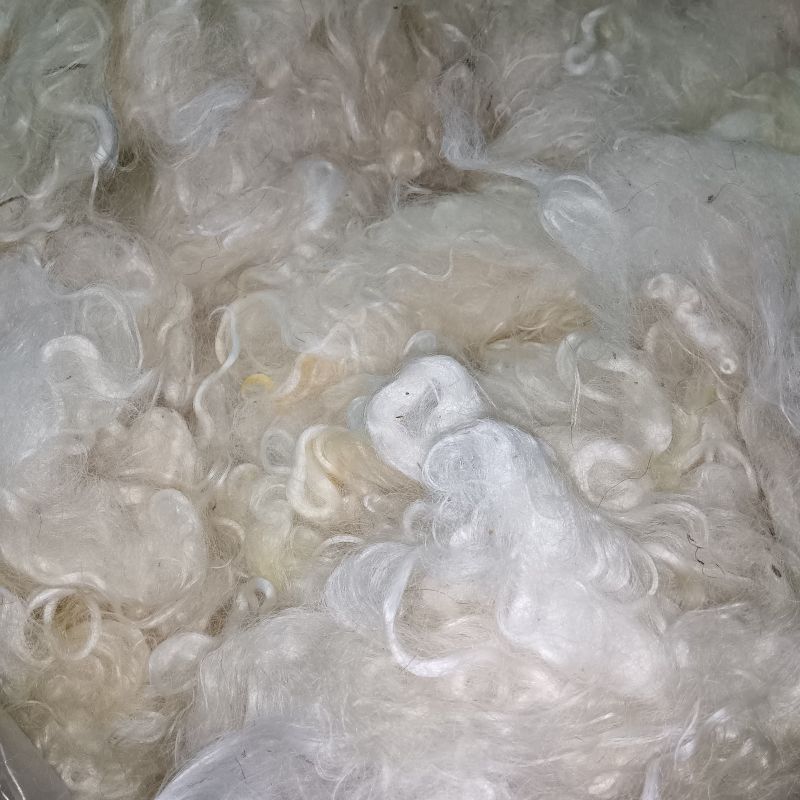 イングリッシュレスター　洗毛済みホワイト　100g ＜紡毛 紡ぎ 染め 羊毛 フェルト＞