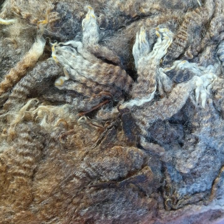 コリデール　ブラウン２　グリージーウール　1Kg単位  ＜紡毛 紡ぎ 染め 羊毛 フェルト＞