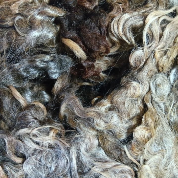 リンカーン　グレー　グリージーウール　1Kg単位  ＜紡毛 紡ぎ 染め 羊毛 フェルト＞