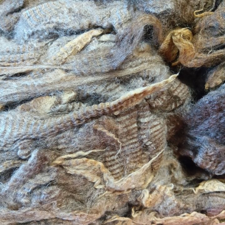 ポルワス　ブラウン２　グリージーウール　1Kg単位  ＜紡毛 紡ぎ 染め 羊毛 フェルト＞