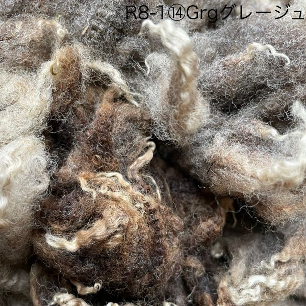 シェットランド　グレージュ　グリージーウール　0.8Kg ＜紡毛 紡ぎ 染め 羊毛 フェルト＞