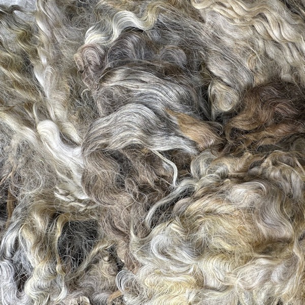 イングリッシュレスター　カラード　グリージーウール　1Kg単位＜紡毛 紡ぎ 染め 羊毛 フェルト＞