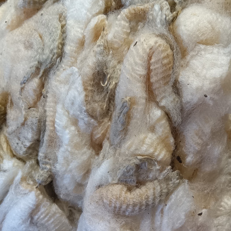 コリデール　ホワイト　グリージーウール　1Kg単位  ＜紡毛 紡ぎ 染め 羊毛 フェルト＞