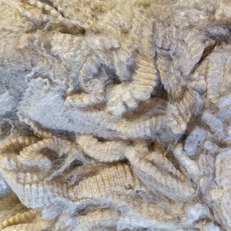 コリデール ベージュ1 グリージーウール 1.3Kg<紡毛 紡ぎ 染め 羊毛 フェルト>