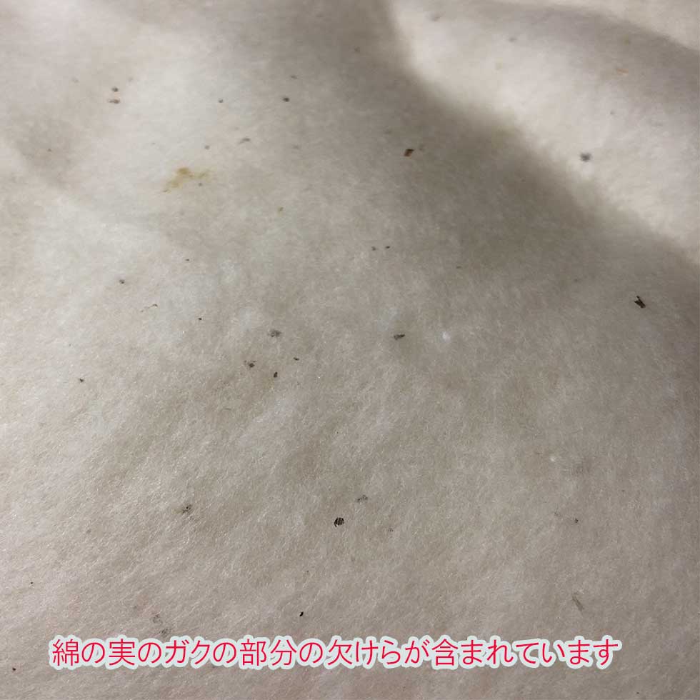 オーガニックコットン バット状(布団綿状) 300g <綿 オーガニック 紡ぎ トッポンチーノ>