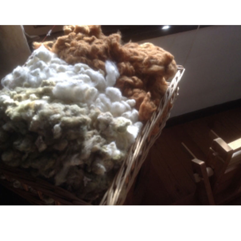 コットン 種付き 茶綿 100g ＜綿 オーガニック 紡ぎ＞