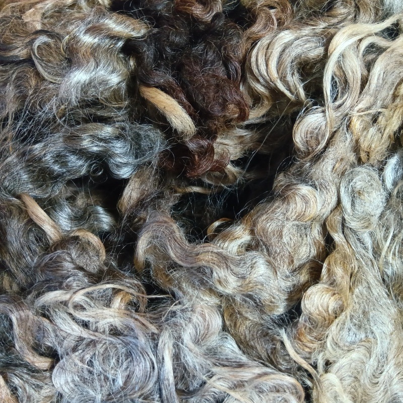 リンカーン　グレー　グリージーウール　1Kg単位  ＜紡毛 紡ぎ 染め 羊毛 フェルト＞