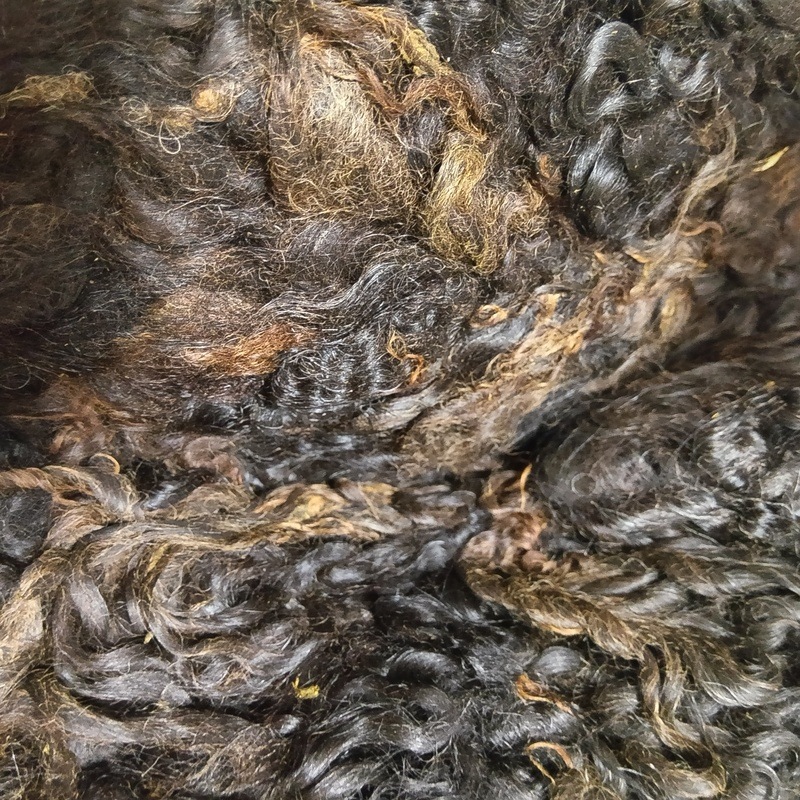 ゴットランド　ブラック１　グリージーウール　0.95Kg  ＜紡毛 紡ぎ 染め 羊毛 フェルト＞