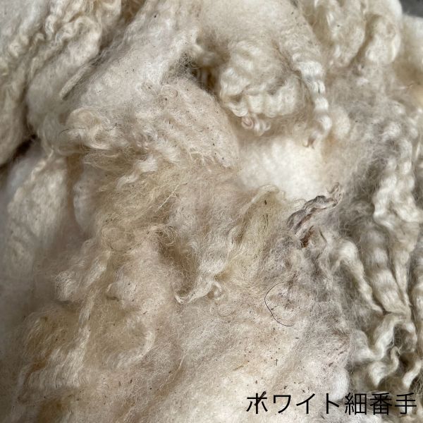 シェットランド　ホワイト　細番手　グリージーウール ＜紡毛 紡ぎ 染め 羊毛 フェルト＞