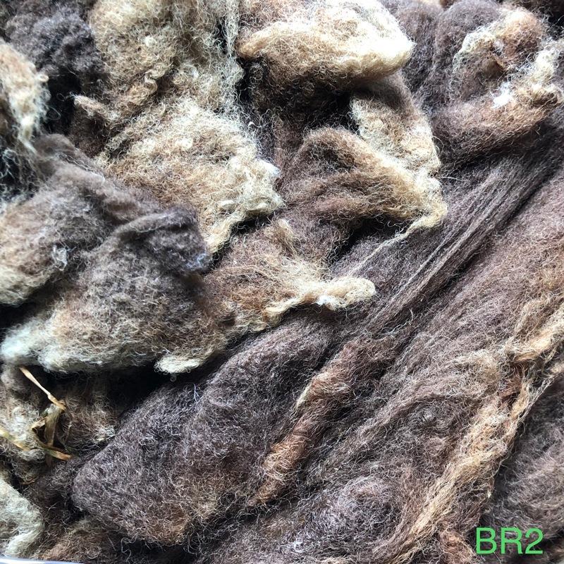 シェットランド　ブラウン　グリージーウール　1.3Kg ＜紡毛 紡ぎ 染め 羊毛 フェルト＞