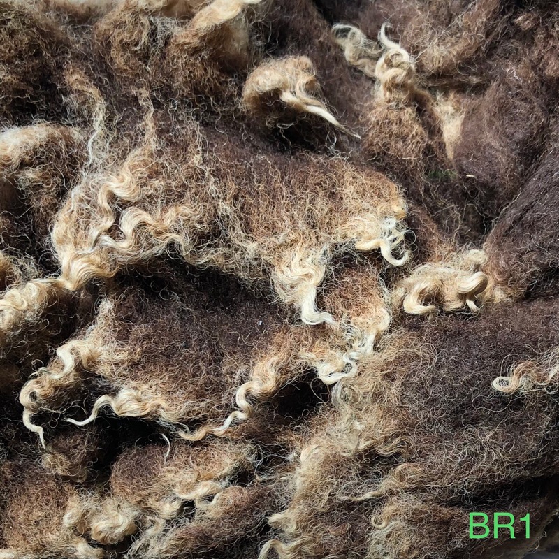 シェットランド　ブラウン　グリージーウール　0.9Kg ＜紡毛 紡ぎ 染め 羊毛 フェルト＞