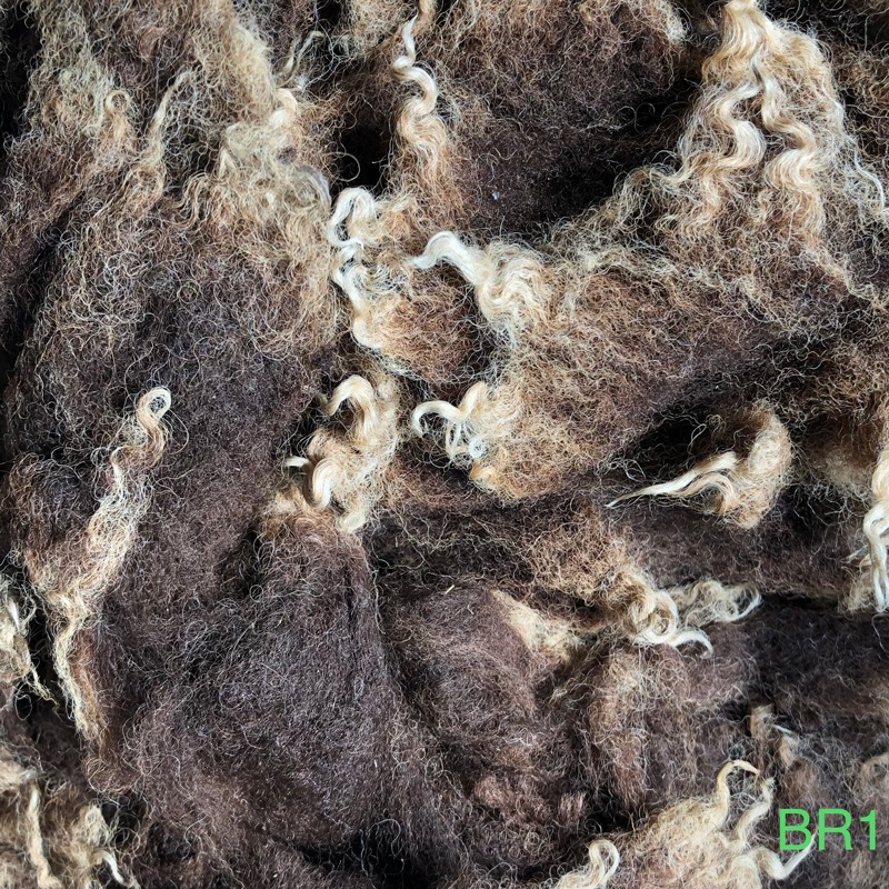 シェットランド　ブラウン　グリージーウール　0.9Kg ＜紡毛 紡ぎ 染め 羊毛 フェルト＞