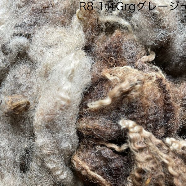 シェットランド　グレージュ　グリージーウール　0.8Kg ＜紡毛 紡ぎ 染め 羊毛 フェルト＞