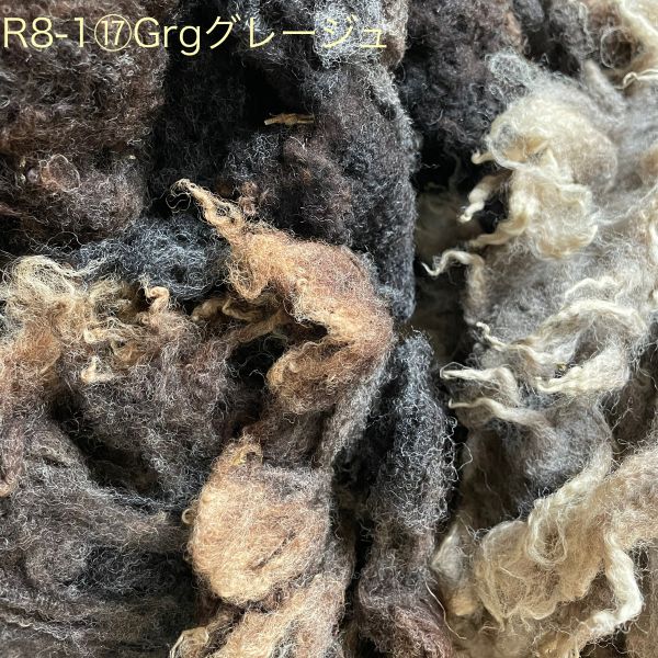 シェットランド　グレージュ　グリージーウール　1.70Kg ＜紡毛 紡ぎ 染め 羊毛 フェルト＞