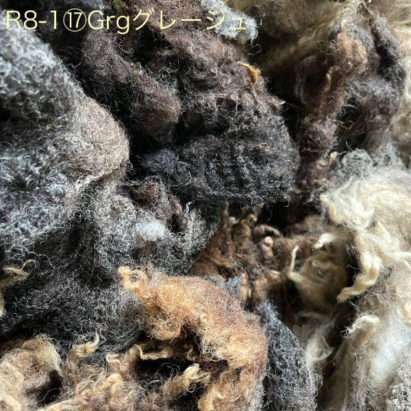 シェットランド　グレージュ　グリージーウール　1.70Kg ＜紡毛 紡ぎ 染め 羊毛 フェルト＞