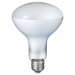 生産終了品】RF110V180W || 岩崎電気(IWASAKI) 200W形 110V 散光形 外