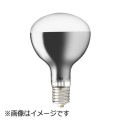 RF110V450WH || ��Ǯ�ŵ� ����ŵ�(IWASAKI) ��������ѥ������� 500W�� ������ ����Ű�110V E39���� ��Ĺ(238mm) ����(160mm) �����Ϸ�(450W) ��ʼ�̿(2000����) [nd]