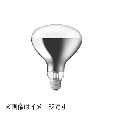 IWASAKI アイランプ RF220V 180W電球 10個入 RF220V180WH 屋外投光用アイランプ 散光形 岩崎電気 白熱電球 口金E26