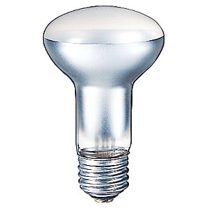 RM110V38W || 岩崎電気(IWASAKI) 40W形 110V 外径(62mm) 消費電力(38W