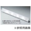 ��������λ�ʡ�LEM-012006(W)-S2 || ��ǥ饤�ƥå�(TOSHIBA) ��LEDͶƳ�����ʡ�LED���ѥ⥸�塼��� ŷ������ѡ�C�顿2009ǯȯ��LEDͶƳ���� ����(���ͥ�������) �򴹤��ܰ�(6������) �ڼ����ʡ� [lt]