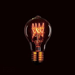 0412-022 ヴィンテージランプ LW100V40W 110V40W A60 F1 E26 (vintage) || ヴィンテージランプ【5個単位販売