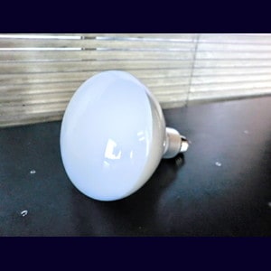 生産終了品】PRF500W || 白熱電球 岩崎電気(IWASAKI) 写真照明用アイ