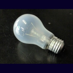 LW100V54W-TM || 白熱電球【25個入り/セット販売】 東京メタル
