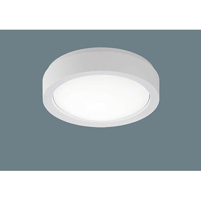 NWCF16100 LE1 || LED非常用照明器具[ホワイト] Panasonic 低光束