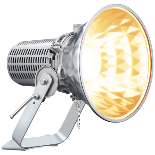 生産終了品】E30422W/NHSAN8/H || LED投光器 岩崎電気 レディオック 