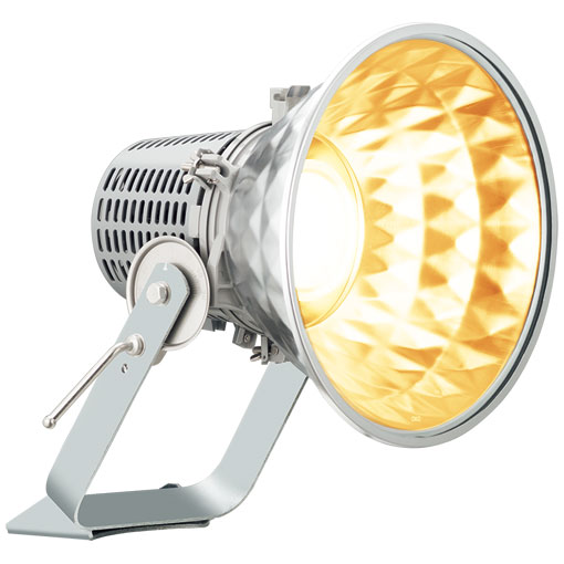 生産終了品】E30421M/NHSAN8/H || LED投光器 岩崎電気 レディオック