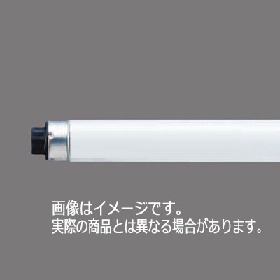 生産終了品・後継品あり】FHF86EN/RXF2 [10本入り/1ケース販売] || Hf