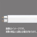 FL20SEX-NF3 || ľɥָ Panasonic 20 <ѥå> (5000K) 1470lm G13 ɷ32.5Ĺ580mm (20W) ̿(8500h) Ŭ(FG-1EL/FG-1PL/FE1E) [nc]