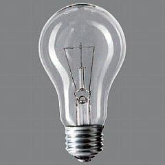 生産終了品・代替品あり】L100V60W | Panasonic 55ミリ径 60形 100V用