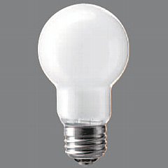 生産終了品・代替品あり】LW100V54WL | Panasonic 55ミリ径 60形