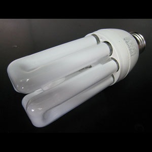 EFD21EN | 東芝(TOSHIBA) 48ミリ径 D21形 3波長形昼白色(5000K) E26