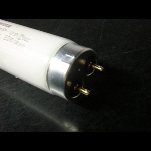 生産終了品・代替品あり】FL20SS・W/18 | 東芝(TOSHIBA) 20形 白色