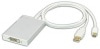 MDP-DDL100���ߥ˥ǥ����ץ쥤�ݡ��Ȥ�Dual-Link DVI ���Ѵ����륢���ץ���