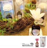 �� SOLA �ۡ�RAFFINE BLANC����ե��֥ͥ�� �롼��ե쥰��󥹡�CORAL REDROSE���路����Ӥ䤫�ʥ������ι�ꡡ��Ϸ�������ݥ���Ⱦò������տ�ʪ