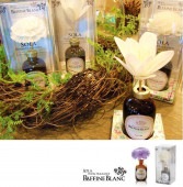 �� SOLA �ۡ�RAFFINE BLANC����ե��֥ͥ�� �롼��ե쥰��󥹡�LILAC GARDEN��˭���ǰ¤餮�Τ����٥�����ι�ꡡ��Ϸ�������ݥ���Ⱦò������տ�ʪ
