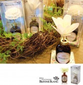 �� SOLA �ۡ�RAFFINE BLANC����ե��֥ͥ�� �롼��ե쥰��󥹡�NAPLES DAHLIA���۵��Ƿ�䤫�ʥ������ι�ꡡ��Ϸ�������ݥ���Ⱦò������տ�ʪ