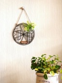 <br><br>�� ����ƥꥢ���� �ۡ��磻�䡼��¤�ä����ȤäƤ⥭�塼�Ȥʡ��ɳݤ��ե��١������桼����ԥå�set���ե�����Ϸ�������ݥ���Ⱦò������տ�ʪ