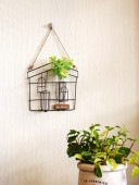 <br><br>�� ����ƥꥢ���� �ۡ��磻�䡼��¤�ä����ȤäƤ⥭�塼�Ȥʡ��ɳݤ��ե��١������桼����ԥå�set���ϥ�������Ϸ�������ݥ���Ⱦò������տ�ʪ