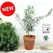 <br><br>���꡼�� ���㿧�˥⥹�ݥå� �ȡ��� �饦��ɷ��ڥС������åס�������� <br>�ƥ饳�å� �Ǿ� ƫ�� �֥饦�� ����� �� <br>�뺧����ξ�ƤؤΥץ쥼��� �뺧���ε�ǰ�� ��£�襮�ե� ξ��£���� <br>���տ�ʪ ���� ���� ���� ����̵��