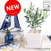 <br><br>���꡼��  �� ���塼�ַ� ƫ��ȭ S��������ŷ�����С�������������� <br>����ȭ ���꡼�֤��� �� ���� ȭ ���� <br>���տ�ʪ ���� ���� �뺧�� <br>�� �ۥ磻�� �������� �ͳ� ������