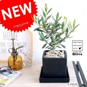 <br><br>���꡼�� �ʹ����� ���塼�ַ� ƫ��ȭ S�����������С�������������� <br>����ȭ ���꡼�֤��� �� ���� ȭ ���� <br>���տ�ʪ ���� ���� �뺧�� <br>�� �֥�å� �������� �ͳ� ������