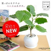 <br><br>����٥顼�� �� �ݷ� ƫ��ȭ�ʤڥ֥�� <br>���ե�����������٥顼��  �����������������ࡡ�������<br>�����١���������Υ���������ڡ�����٥顼�������տ�ʪ ����̵��